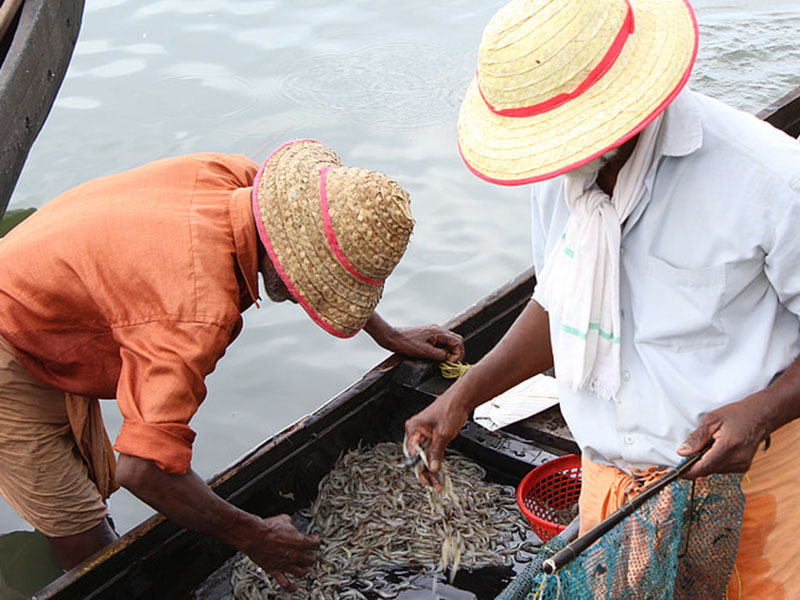 水產(chǎn)養(yǎng)殖業(yè)檢測(cè)水質(zhì)的儀器是哪款