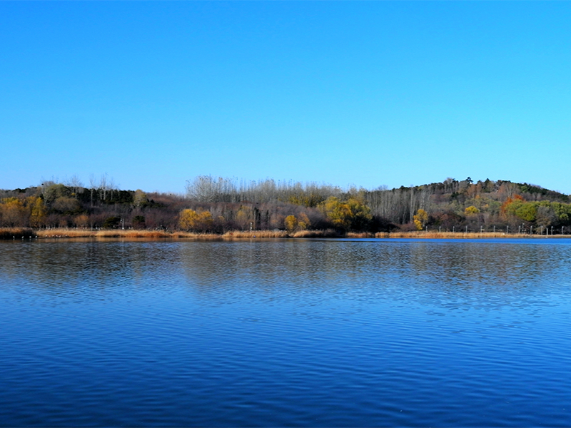 水質(zhì)檢測儀器價格（水質(zhì)檢測儀器大概多少錢）