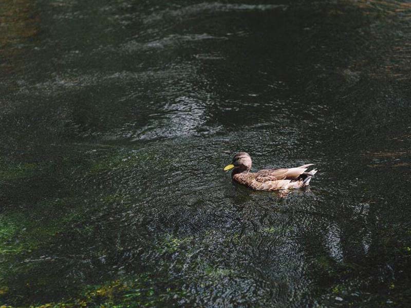 水質(zhì)重金屬檢測設(shè)備哪種好