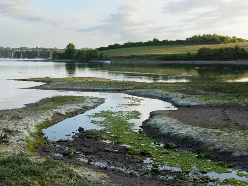 【統(tǒng)計(jì)】生態(tài)環(huán)境部公布2024年1—3月全國(guó)地表水環(huán)境質(zhì)量狀況