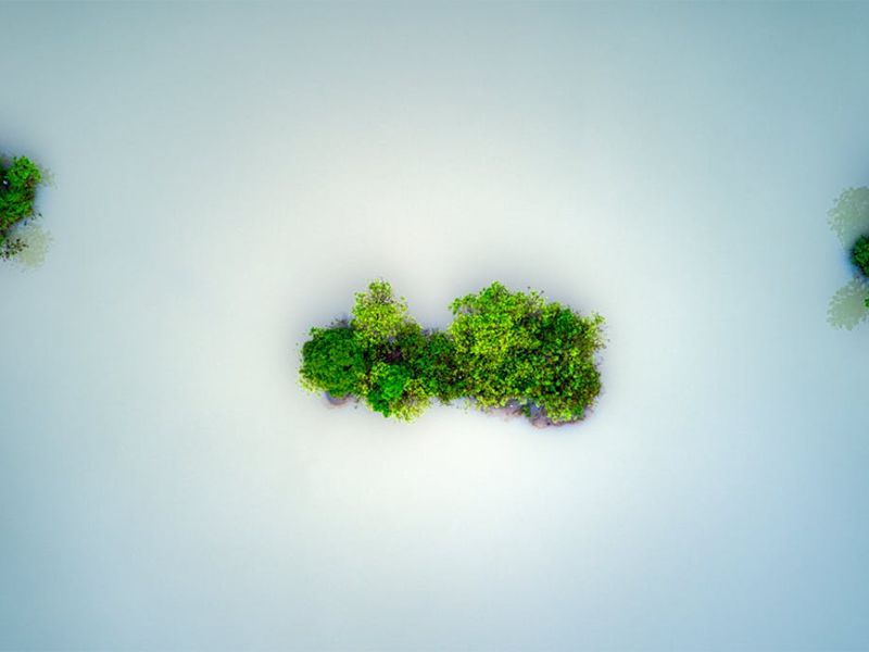 在線水質(zhì)監(jiān)測(cè)儀的優(yōu)勢(shì)