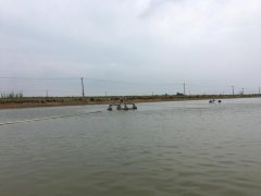 霍爾德便攜式余氯檢測儀，可提前預(yù)防養(yǎng)殖風(fēng)險